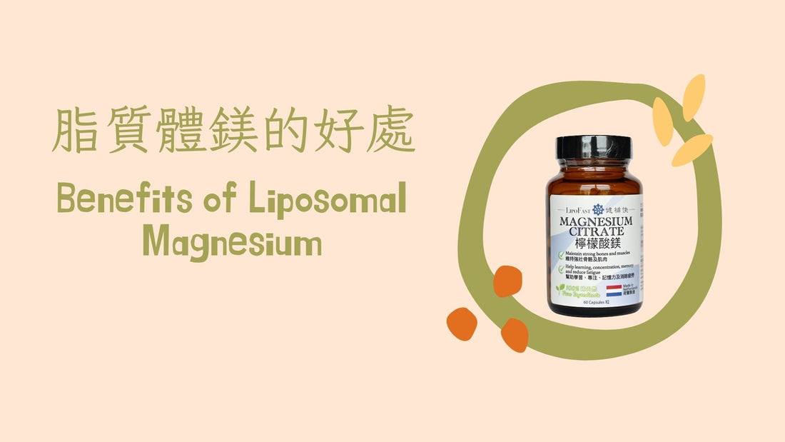 Benefits of Liposomal Magnesium