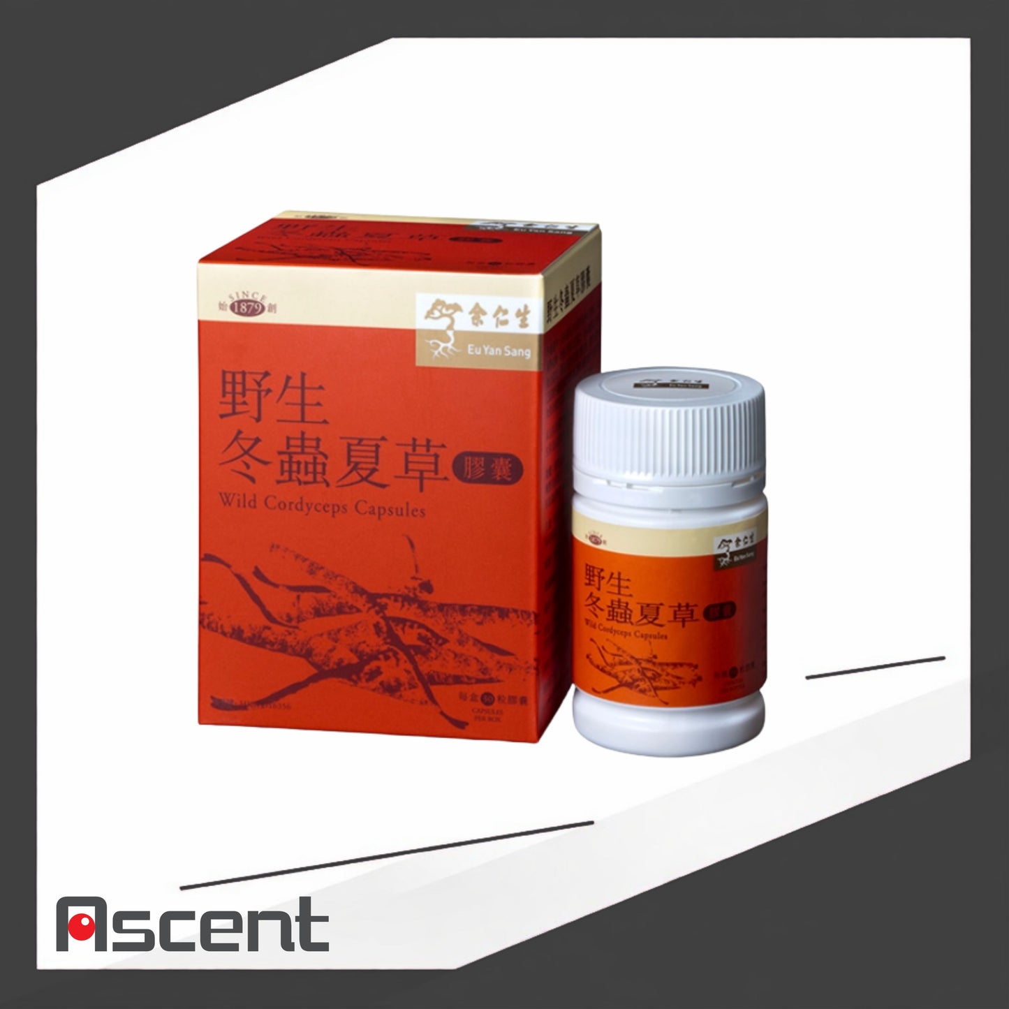 Eu Yan Sang Wild Cordyceps Capsules 30 Capsules