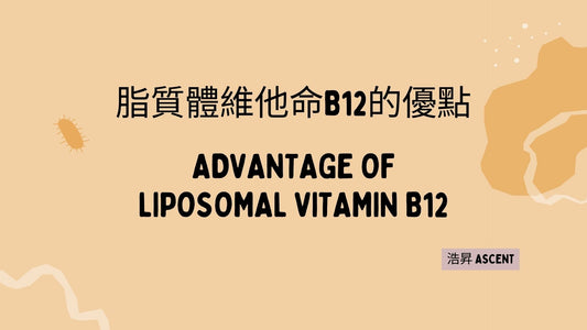 Advantage of Liposomal vitamin B12