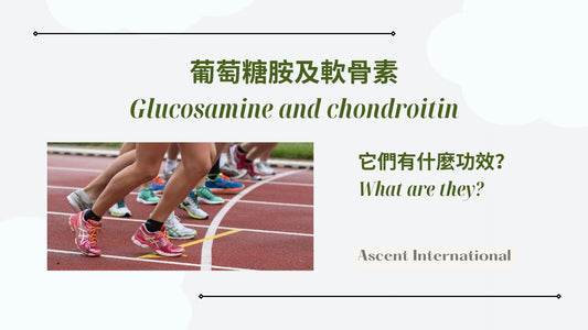 Glucosamine and chondroitin: What are they?