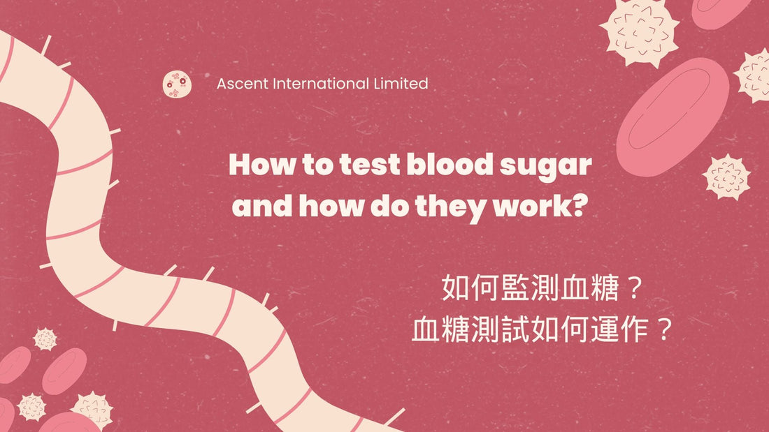 How to test blood sugar and how do they work? 如何監測血糖？血糖測試如何運作？