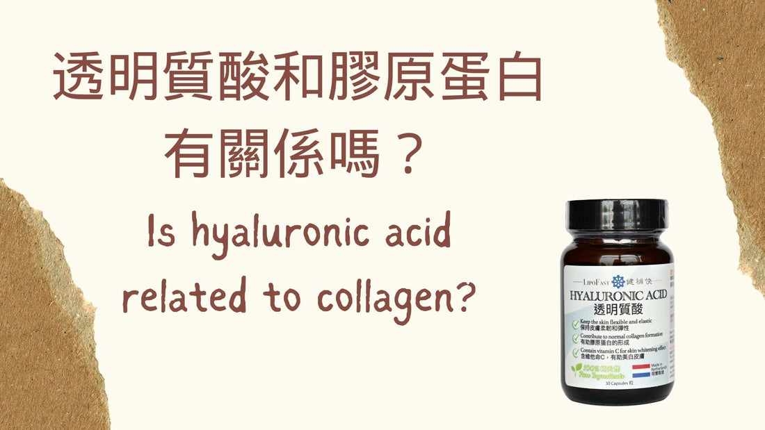 Is hyaluronic acid related to collagen?