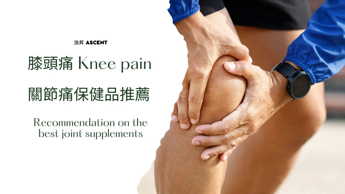 Knee pain | Recommendation on the best joint supplements