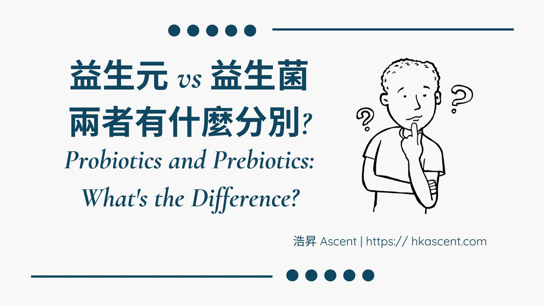 Probiotics and Prebiotics: What's the Difference? 益生元 vs 益生菌 | 兩者有什麼分別?