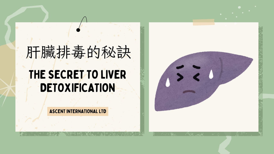 The secret to liver detoxification