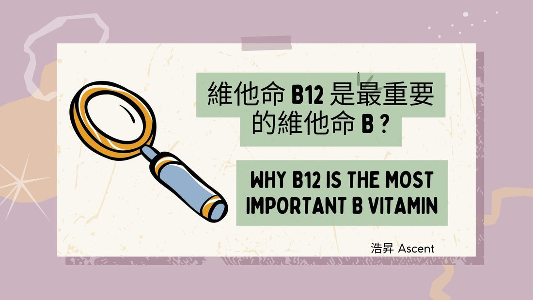 Why B12 is the most important B vitamin