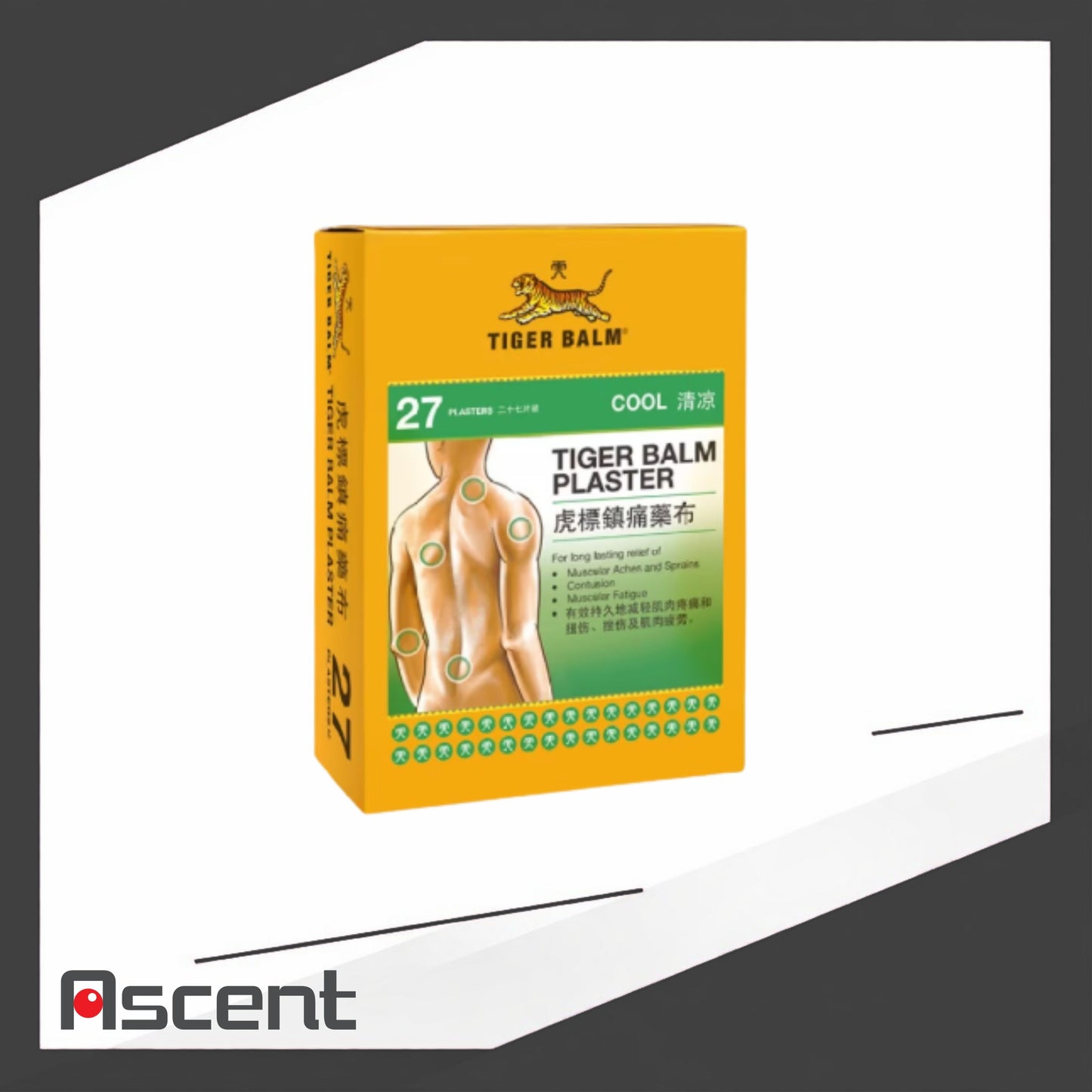 Tiger Balm Plaster Cool 27 Patches